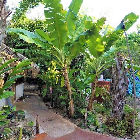 Готель La Casa De Los Ninos Del Arbol Бакалар Екстер'єр фото